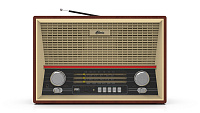 Радиоприемник Ritmix RPR-102 wood