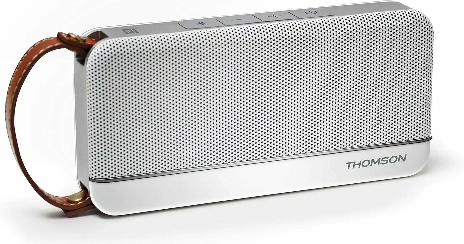Портативная колонка Thomson WS02 , 12 Вт серебристый